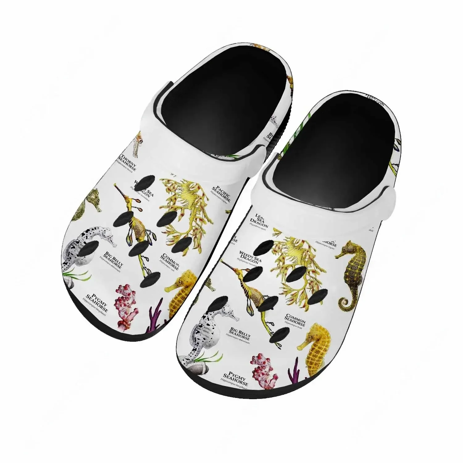 Сандалии Seahorse для женщин и – обзор и цена Men'S Shoes Quality
